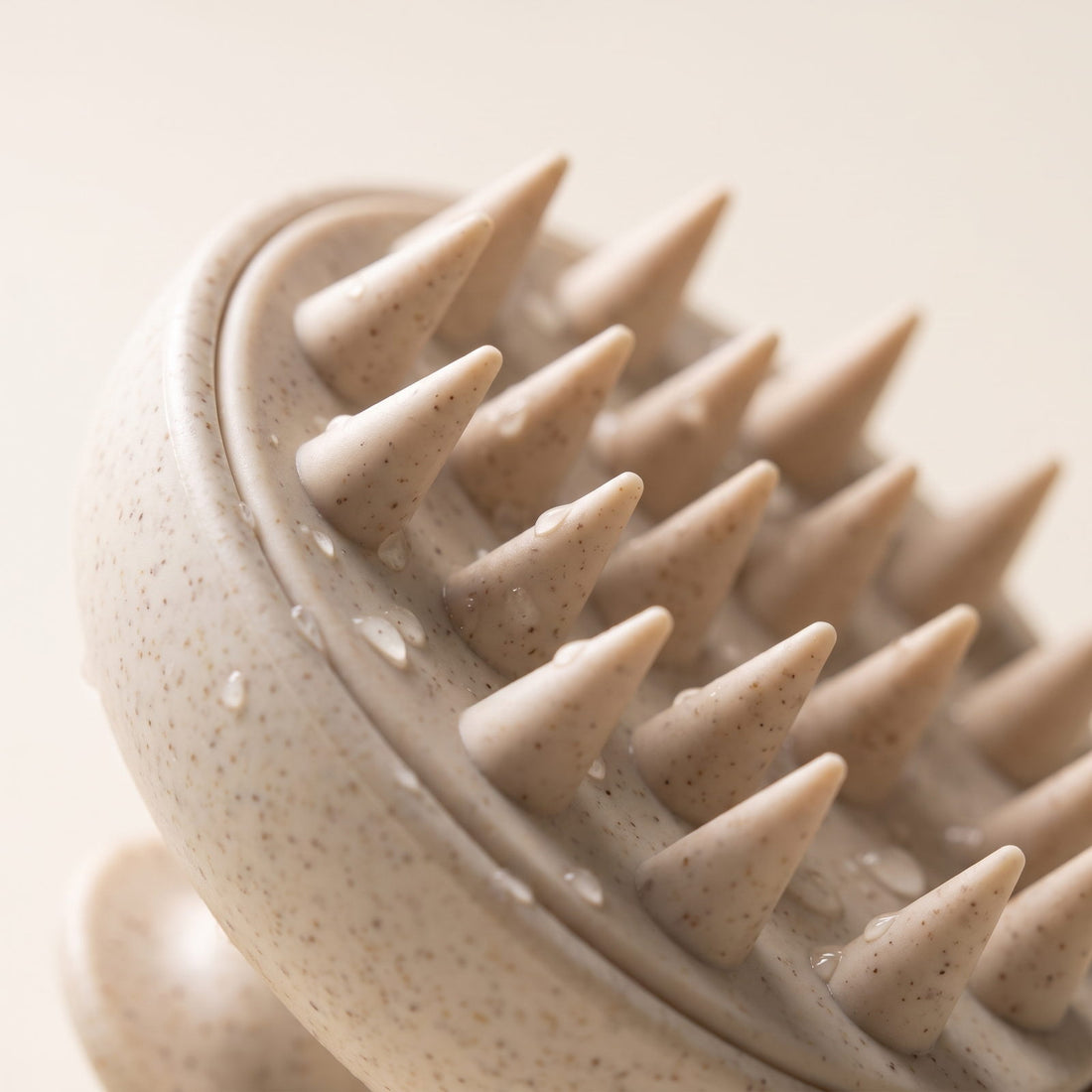 Scalp Brush