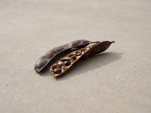 Soap pod